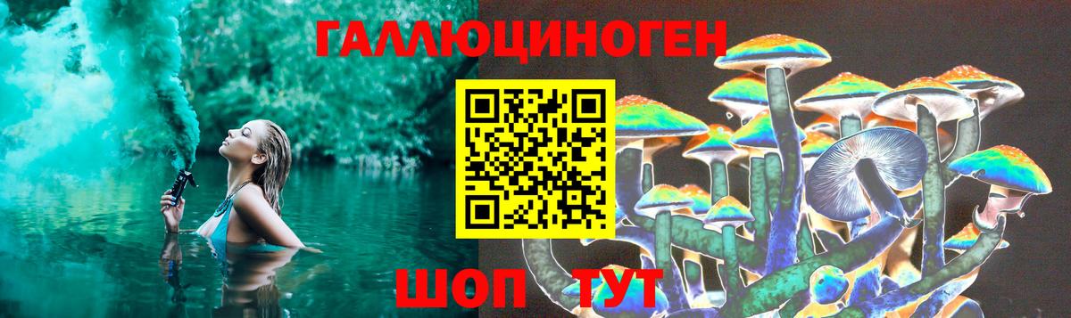где продают наркотики  Галлюциногенные грибы Psilocybe  Псилоцибиновые грибы Psilocybine cubensis  Вход с VPN  Орехово-Зуево 